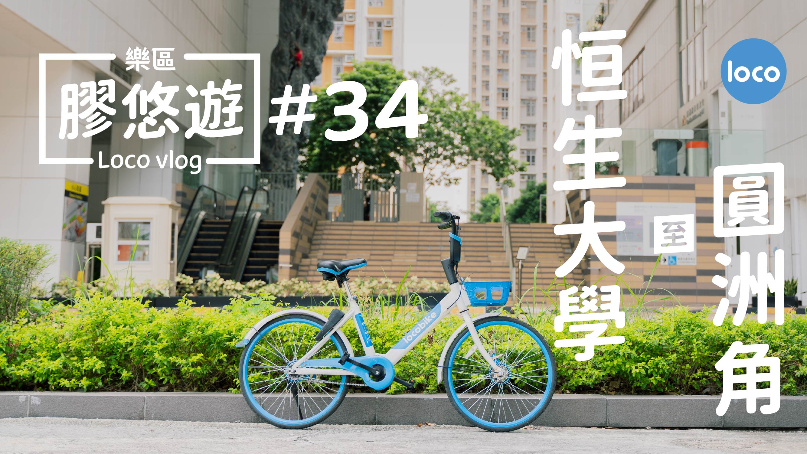 Cycling route from The Hang Seng University of Hong Kong to Yuen Chau Kok Complex