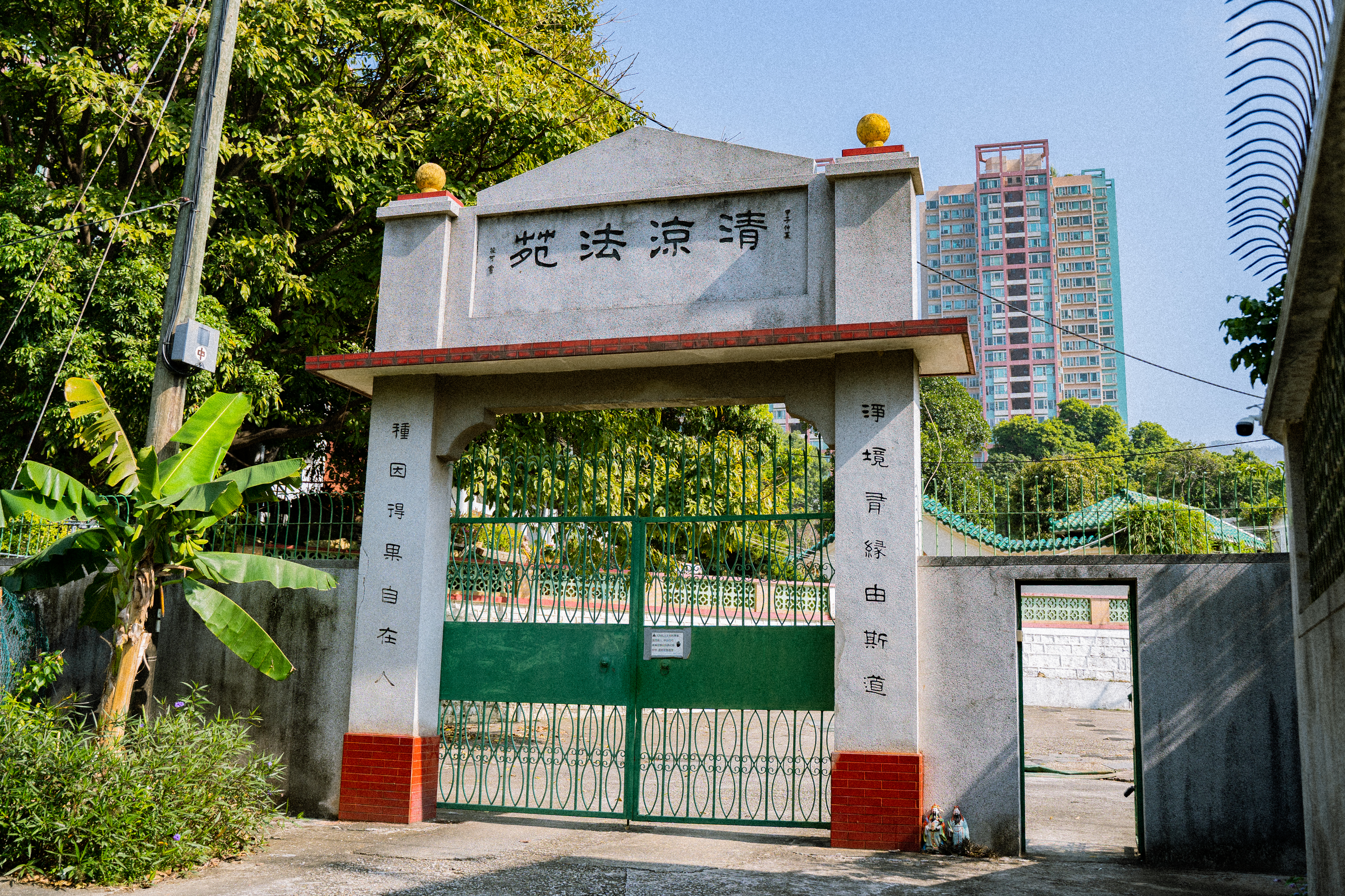 DSC03159