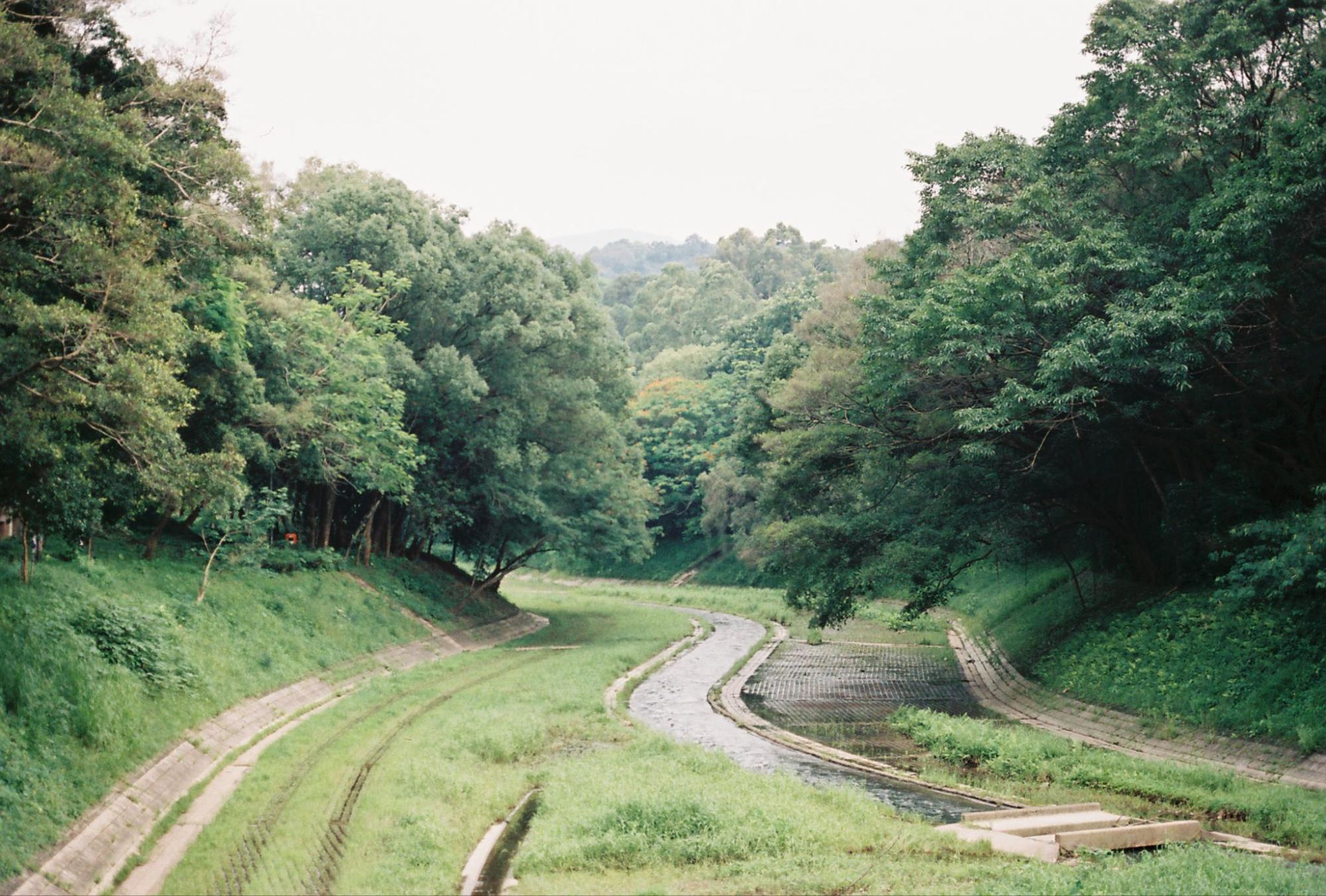 梅樹坑